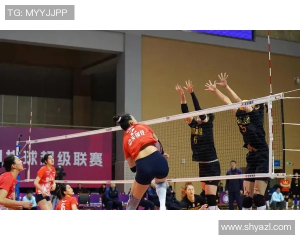 女排联赛精彩对决浙江女排迎战江苏女排力争胜利展现实力与团队精神